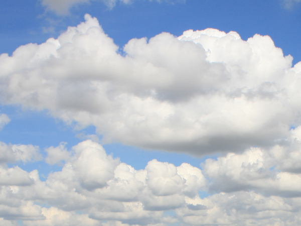 Les cumulus sont des nuages en forme de "mouton nuageux" qui traduisent un air saturé en vapeur d'eau © Nicolas Macaire